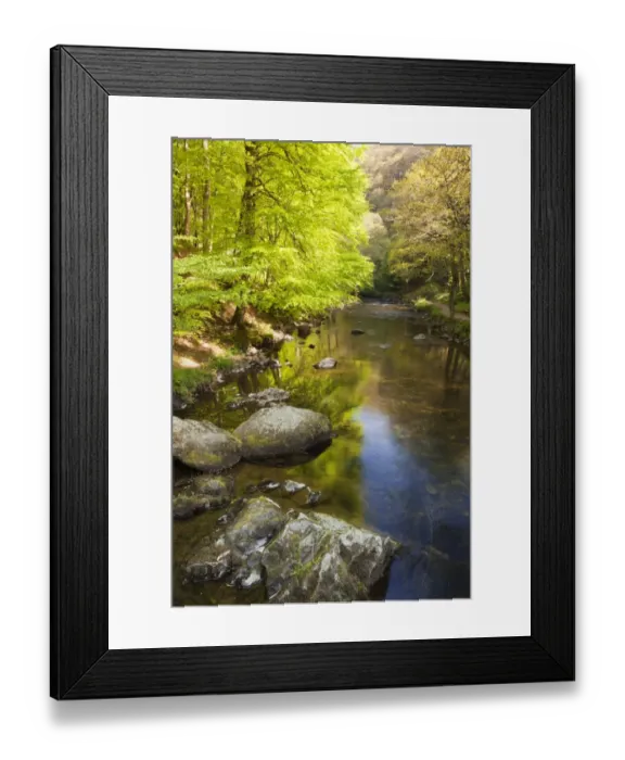 Framed Print : View along river on sunny spring morning, with reflections of trees along riverbank, East Lyn River, Ash Bridge Framed Print : View along river on sunny spring morning, with reflections of trees along riverbank, East Lyn River, Ash Bridge
