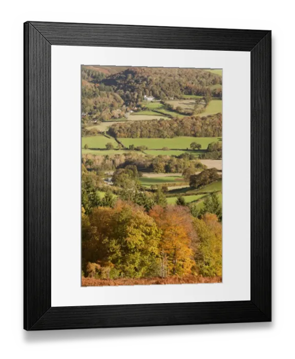 Framed Print : View of trees in autumn colour, fields and hedgerows, looking from Luccombe Plantation with Selworthy Church Framed Print : View of trees in autumn colour, fields and hedgerows, looking from Luccombe Plantation with Selworthy Church