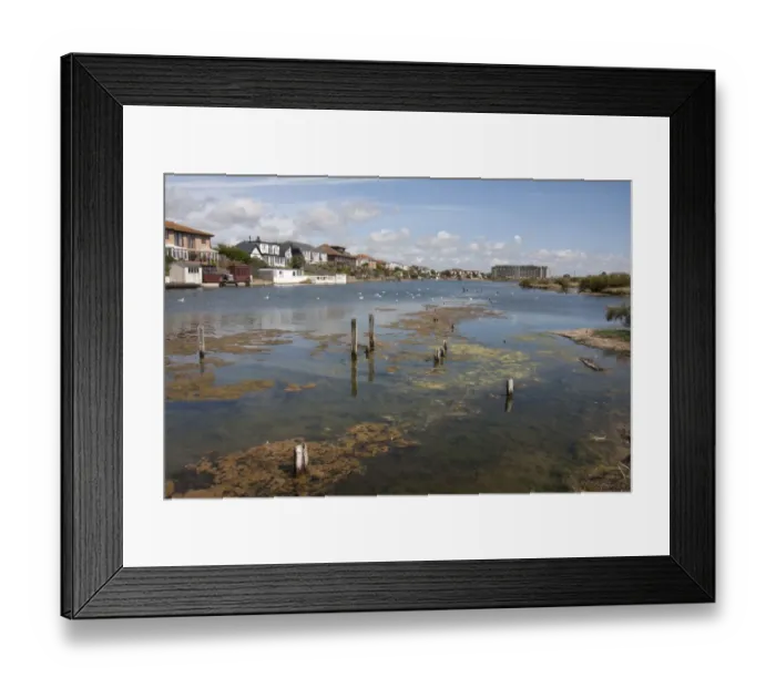 Framed Print : View of shallow saline lagoon habitat situated on coastal marshland formed by sediments deposited by River Adur Framed Print : View of shallow saline lagoon habitat situated on coastal marshland formed by sediments deposited by River Adur
