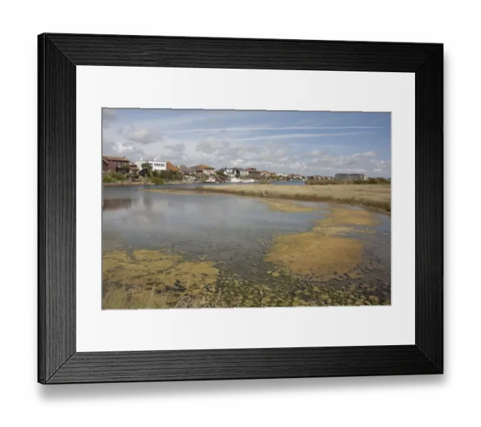 Framed Print : View of shallow saline lagoon habitat situated on coastal marshland formed by sediments deposited by River Adur Framed Print : View of shallow saline lagoon habitat situated on coastal marshland formed by sediments deposited by River Adur