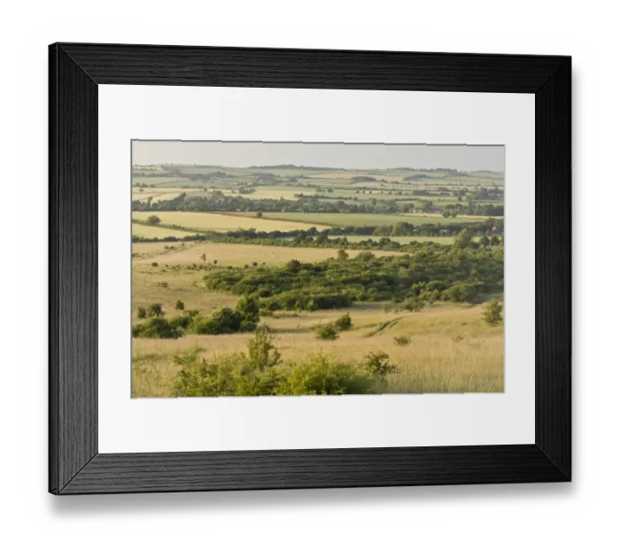 Framed Print : View of chalk downland habitat, looking north from chalk scarp, Martin Down National Nature Reserve, Hampshire Framed Print : View of chalk downland habitat, looking north from chalk scarp, Martin Down National Nature Reserve, Hampshire