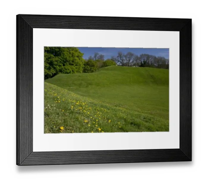 Framed Print : Remains of 2nd century AD Roman amphitheatre, now grassland habitat, Cirencester Amphitheatre, Gloucestershire Framed Print : Remains of 2nd century AD Roman amphitheatre, now grassland habitat, Cirencester Amphitheatre, Gloucestershire
