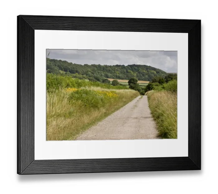 Framed Print : Quiet country lane with verges and hedgerows on chalk, Shipton Bellinger, Salisbury Plain, Hampshire, England, July Framed Print : Quiet country lane with verges and hedgerows on chalk, Shipton Bellinger, Salisbury Plain, Hampshire, England, July