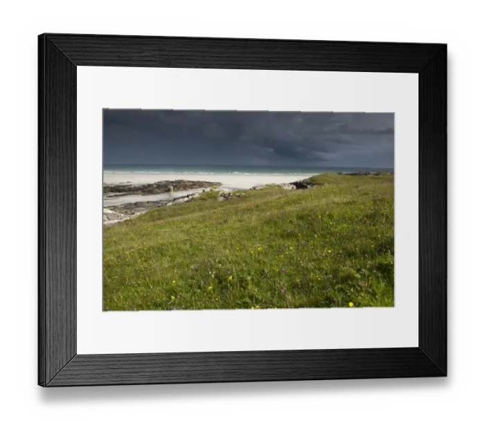 Framed Print : View of coastal grassland and beach, Crossapol, Isle of Tiree, Inner Hebrides, Scotland, August Framed Print : View of coastal grassland and beach, Crossapol, Isle of Tiree, Inner Hebrides, Scotland, August