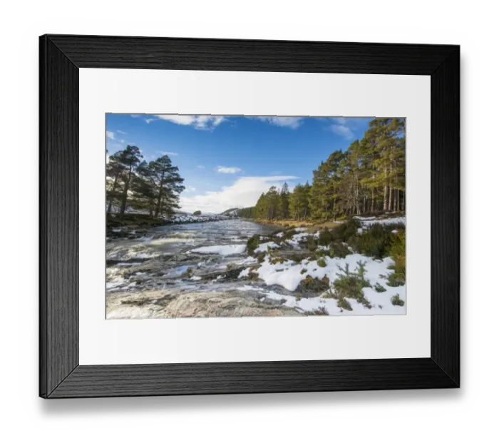 Framed Print : View of river and Scots Pine (Pinus sylvestris) forest habitat in snow, River Dee, Linn of Dee, Grampian Mountains Framed Print : View of river and Scots Pine (Pinus sylvestris) forest habitat in snow, River Dee, Linn of Dee, Grampian Mountains