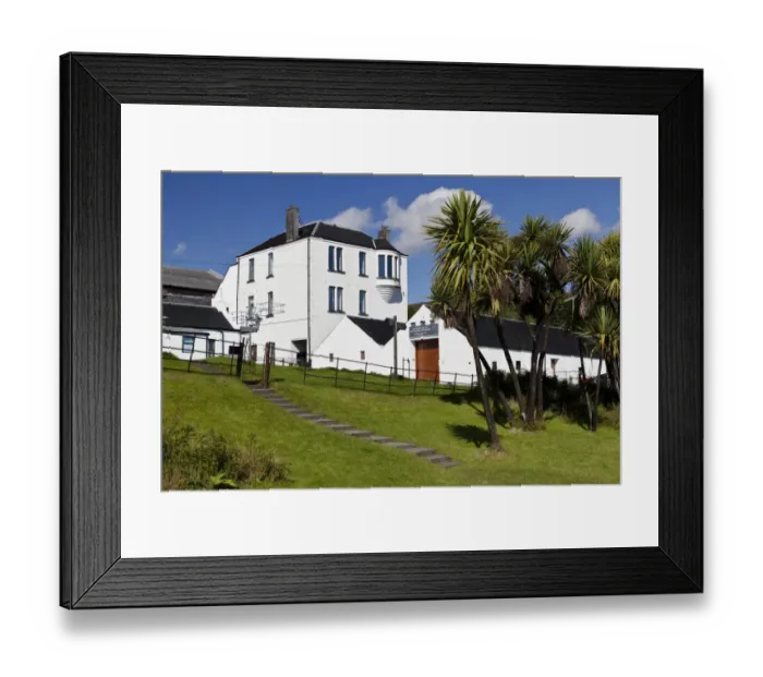 Framed Print : Coastal village with Cabbage Tree (Cordyline australis) growing in protected microclimate moderated by Gulf Stream Framed Print : Coastal village with Cabbage Tree (Cordyline australis) growing in protected microclimate moderated by Gulf Stream