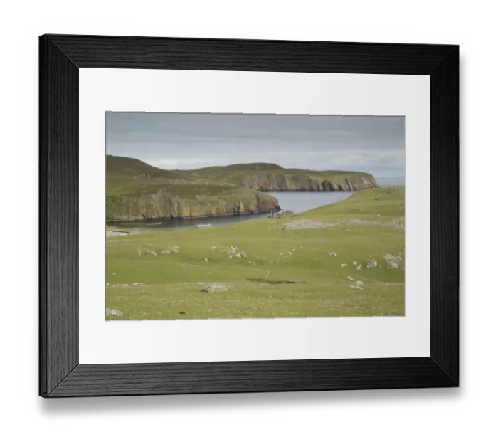 Framed Print : View of coastline and cliffs, Fair Isle, Shetland Islands, Scotland, June Framed Print : View of coastline and cliffs, Fair Isle, Shetland Islands, Scotland, June