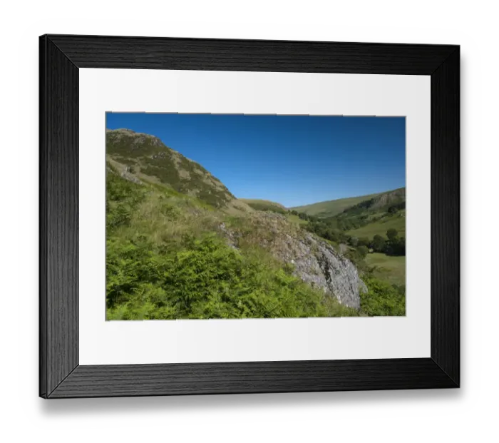 Framed Print : Upland habitat with hills covered in bracken, Elan Valley, Powys, Wales, July Framed Print : Upland habitat with hills covered in bracken, Elan Valley, Powys, Wales, July