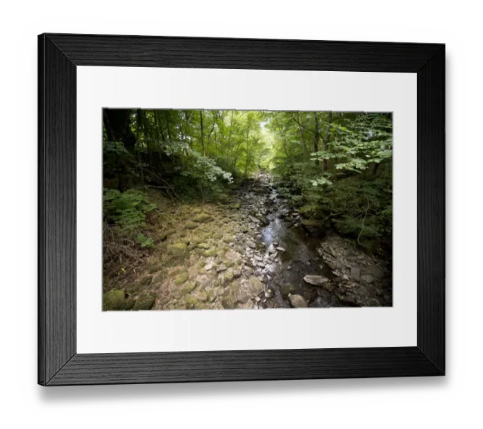 Framed Print : View of stream in woodland glen habitat, Trossachs, Stirling, Scotland, July Framed Print : View of stream in woodland glen habitat, Trossachs, Stirling, Scotland, July