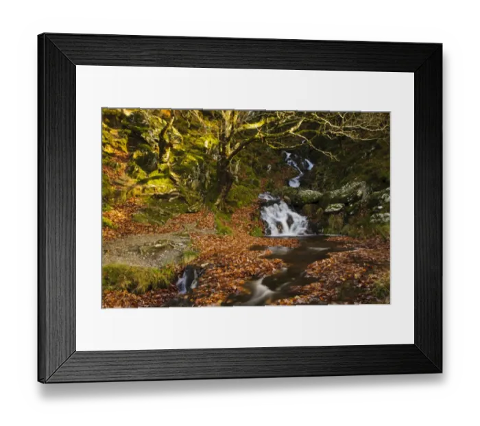 Framed Print : Waterfalls on stream Nant Dolfolau tumbling down hillside into Garreg Ddu Reservoir, Elan Valley, near Rhayader, Powys Framed Print : Waterfalls on stream Nant Dolfolau tumbling down hillside into Garreg Ddu Reservoir, Elan Valley, near Rhayader, Powys
