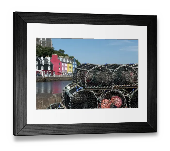Framed Print : Lobster pots at harbour of coastal town, Tobermory, Isle of Mull, Inner Hebrides, Scotland, July Framed Print : Lobster pots at harbour of coastal town, Tobermory, Isle of Mull, Inner Hebrides, Scotland, July