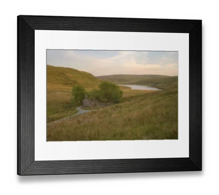Framed Print : View of ruined farmhouse and isolated mountain lake in evening light, Bugeilyn, near Plynlimon, Cambrian Mountains Framed Print : View of ruined farmhouse and isolated mountain lake in evening light, Bugeilyn, near Plynlimon, Cambrian Mountains