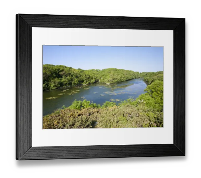Framed Print : Freshwater ponds in limestone valley, Bosherton Lily Ponds, Stackpole N. N. R Framed Print : Freshwater ponds in limestone valley, Bosherton Lily Ponds, Stackpole N. N. R