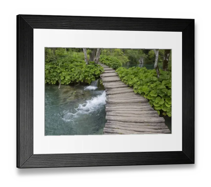 Framed Print : Wooden boardwalk at edge of lake, Plitvice Lakes N. P. Croatia, July Framed Print : Wooden boardwalk at edge of lake, Plitvice Lakes N. P. Croatia, July