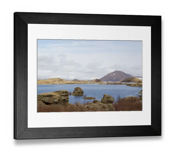 Framed Print : View of eutrophic lake habitat, Lake Myvatn, Iceland, May Framed Print : View of eutrophic lake habitat, Lake Myvatn, Iceland, May