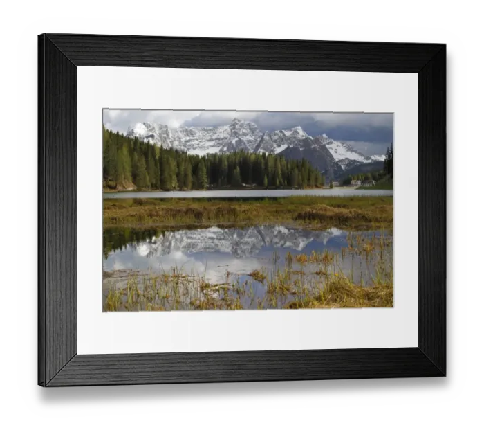 Framed Print : View of mountain lake habitat, Lago di Misurina, Dolomites, Italian Alps, Veneto, Northern Italy, June Framed Print : View of mountain lake habitat, Lago di Misurina, Dolomites, Italian Alps, Veneto, Northern Italy, June