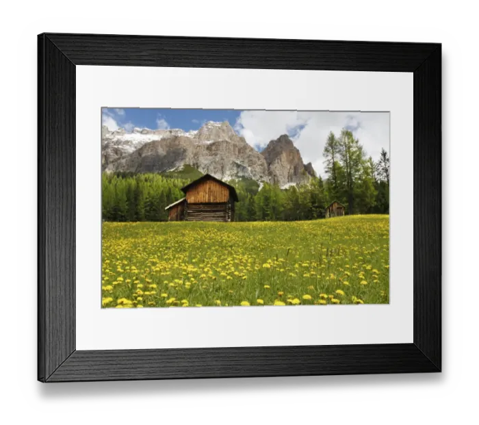 Framed Print : View of mountain huts in meadow with mass of flowering dandelions, with pine forest and mountain peaks in background Framed Print : View of mountain huts in meadow with mass of flowering dandelions, with pine forest and mountain peaks in background