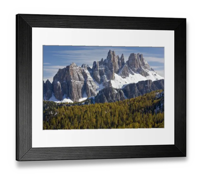 Framed Print : View across European Larch (Larix decidua) forest habitat towards jagged dolomite ridge after early snow Framed Print : View across European Larch (Larix decidua) forest habitat towards jagged dolomite ridge after early snow