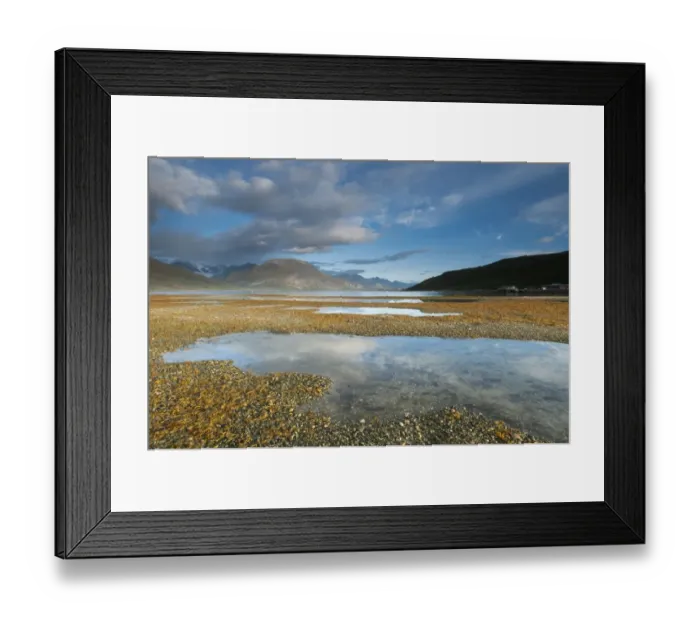 Framed Print : View of fjord during low tide at sunrise, Skibotn, Lyngen Fjord, Troms County, Lapland, North Norway, September Framed Print : View of fjord during low tide at sunrise, Skibotn, Lyngen Fjord, Troms County, Lapland, North Norway, September