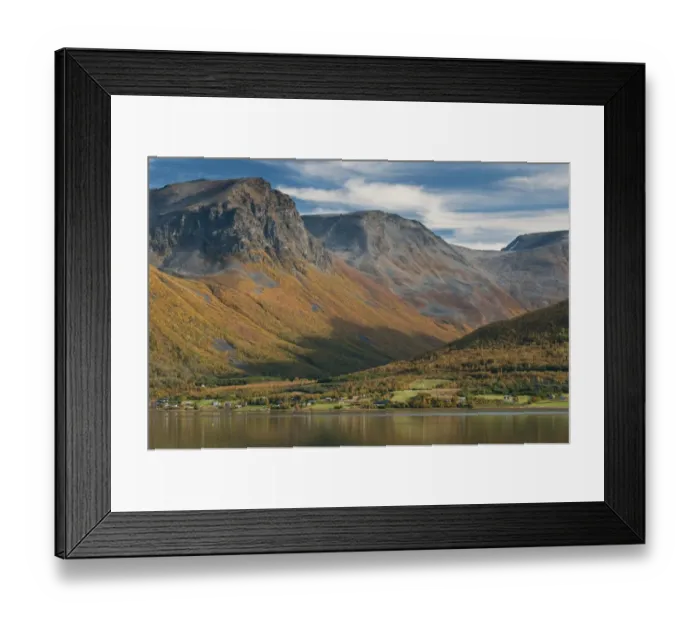 Framed Print : View of fjord and mountains with Silver Birch (Betula pendula) in autumn colour growing on mountainside, Lyngen Fjord Framed Print : View of fjord and mountains with Silver Birch (Betula pendula) in autumn colour growing on mountainside, Lyngen Fjord