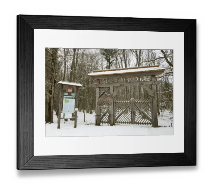 Framed Print : Gate leading to primeval forest habitat, Bialowieza Strictly Protected Area, Bialowieza N. P Framed Print : Gate leading to primeval forest habitat, Bialowieza Strictly Protected Area, Bialowieza N. P