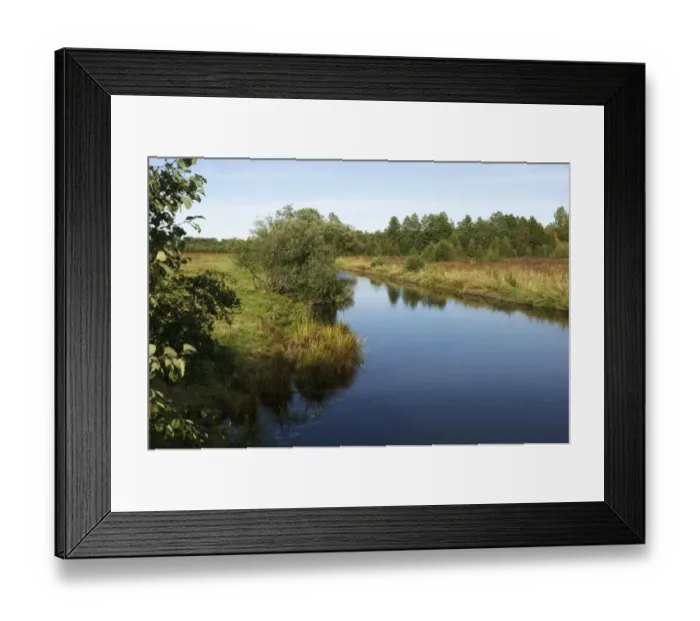 Framed Print : View of river and riverside habitat, Tamnar River, Tierp, Uppsala County, Uppland, Sweden, september Framed Print : View of river and riverside habitat, Tamnar River, Tierp, Uppsala County, Uppland, Sweden, september
