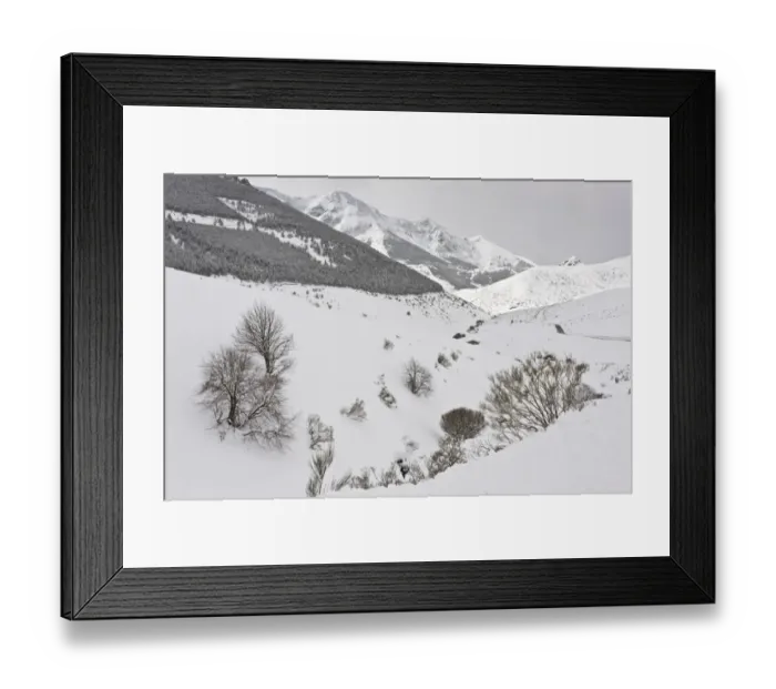 Framed Print : View of snow covered mountain habitat, Puerto de San Glorio (1609 metres), Picos de Europa, Cantabrian Mountains