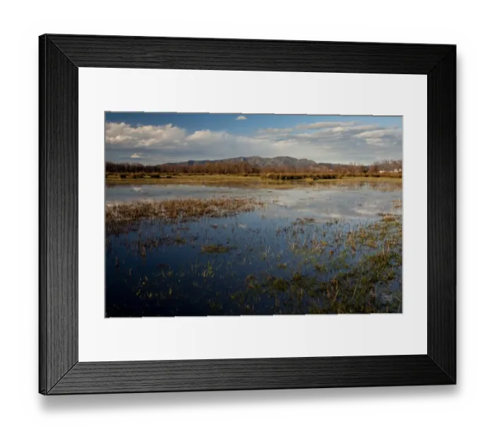 Framed Print : View of extensive marshland (marismas) habitat, Aiguamolls del Emporda Natural Park, Catalonia, Spain, March