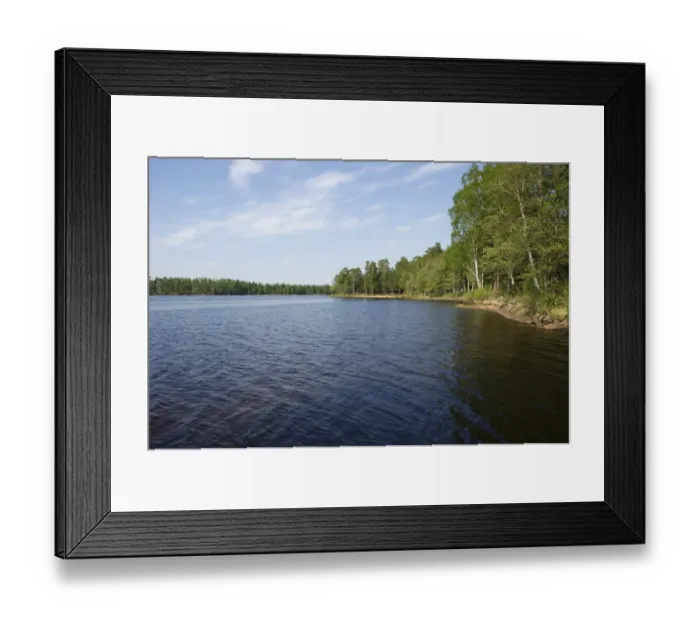 Framed Print : View of freshwater lake habitat, Lake Holsljunga, Vastergotland, Sweden, may Framed Print : View of freshwater lake habitat, Lake Holsljunga, Vastergotland, Sweden, may