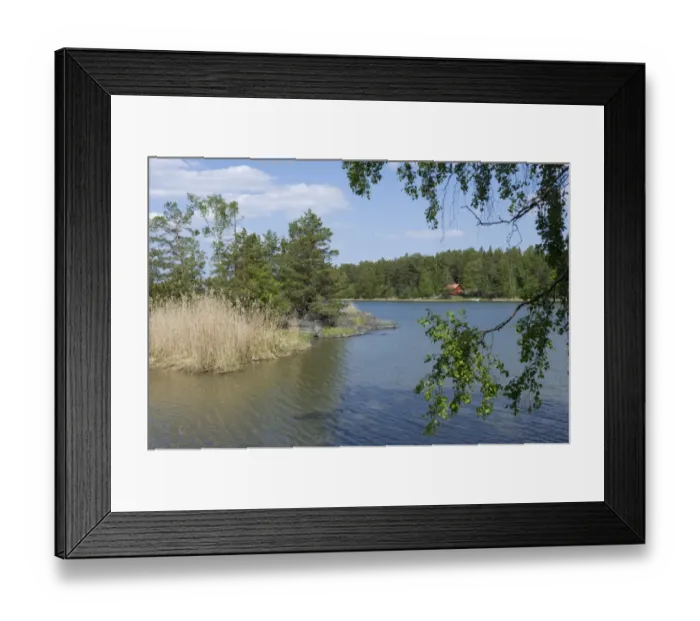 Framed Print : View of sheltered coastline with house, Angskar, Baltic Sea, Uppland, Sweden, may Framed Print : View of sheltered coastline with house, Angskar, Baltic Sea, Uppland, Sweden, may