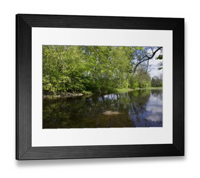 Framed Print : View of river and trees on riverbank, Tamnar River, Vastland, Uppland, Sweden, may Framed Print : View of river and trees on riverbank, Tamnar River, Vastland, Uppland, Sweden, may