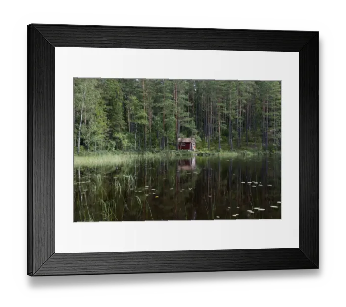 Framed Print : View of small cottage in coniferous forest beside lake, Vastmanland, Sweden, july Framed Print : View of small cottage in coniferous forest beside lake, Vastmanland, Sweden, july