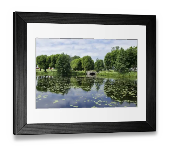 Framed Print : View of pond with waterlily leaves and stone bridge, Forsmarks Bruk, Uppland, Sweden, july Framed Print : View of pond with waterlily leaves and stone bridge, Forsmarks Bruk, Uppland, Sweden, july