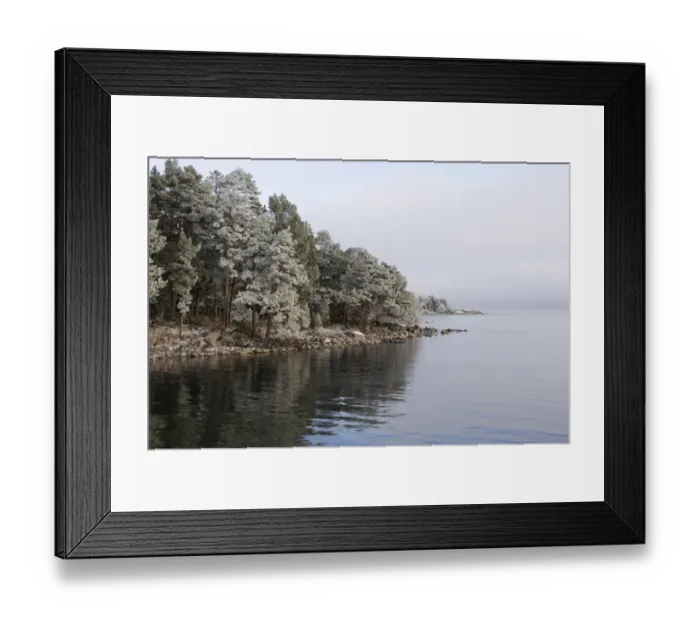 Framed Print : View of frost covered coniferous forest and coastline, Norrtalje, Stockholm County, Baltic Sea, Sweden, january Framed Print : View of frost covered coniferous forest and coastline, Norrtalje, Stockholm County, Baltic Sea, Sweden, january