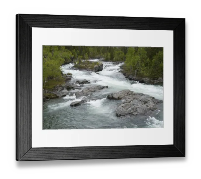 Framed Print : View of rapids in fast flowing river, Gavostjukke, Leipikvattnet, Lappland, Sweden, June Framed Print : View of rapids in fast flowing river, Gavostjukke, Leipikvattnet, Lappland, Sweden, June