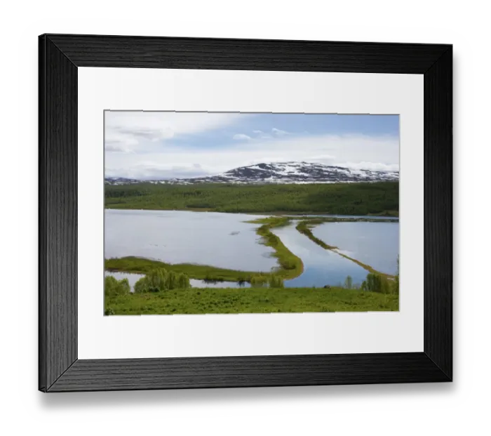 Framed Print : View of lakes, forest and mountain habitat, Klimpfjall, Lappland, Sweden, June Framed Print : View of lakes, forest and mountain habitat, Klimpfjall, Lappland, Sweden, June
