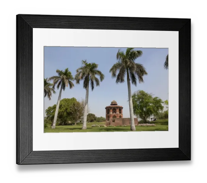Framed Print : View of palm trees and red sandstone octagonal tower, Sher Mandal, Purana Qila, Delhi, India, March Framed Print : View of palm trees and red sandstone octagonal tower, Sher Mandal, Purana Qila, Delhi, India, March