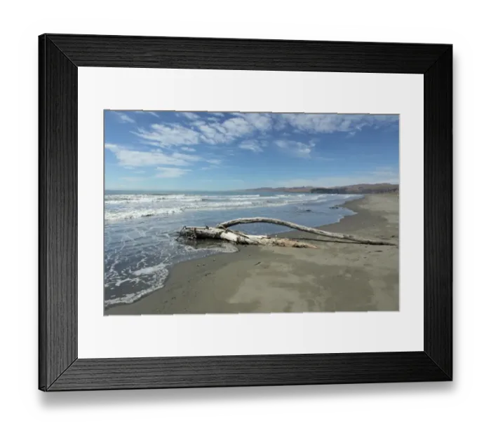 Framed Print : Dead tree washed up on beach, Waimairi Beach, Christchurch, Canterbury, South Island, New Zealand, March Framed Print : Dead tree washed up on beach, Waimairi Beach, Christchurch, Canterbury, South Island, New Zealand, March
