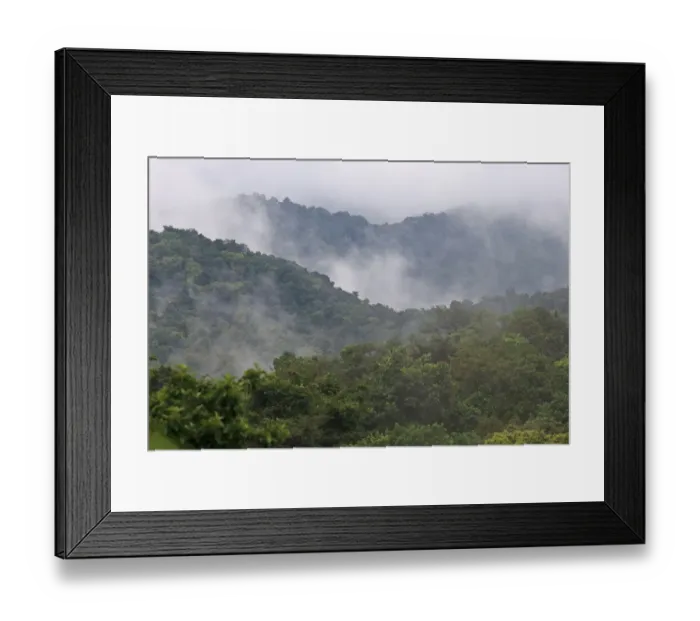 Framed Print : View of mist rising from montane tropical forest habitat, Morne La Croix, Northern Range, Trinidad Framed Print : View of mist rising from montane tropical forest habitat, Morne La Croix, Northern Range, Trinidad