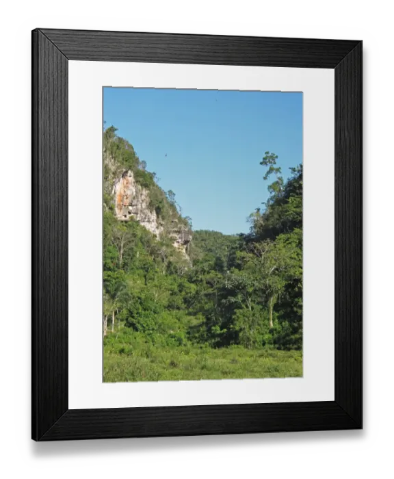 Framed Print : View of lush valley in karst landscape, Los Haitises N. P. Dominican Republic, January Framed Print : View of lush valley in karst landscape, Los Haitises N. P. Dominican Republic, January