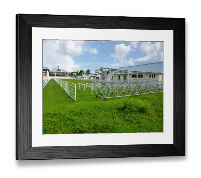 Framed Print : Goat racing track, Buccoo Integrated Facility, Buccoo, Tobago, Trinidad and Tobago, October Framed Print : Goat racing track, Buccoo Integrated Facility, Buccoo, Tobago, Trinidad and Tobago, October