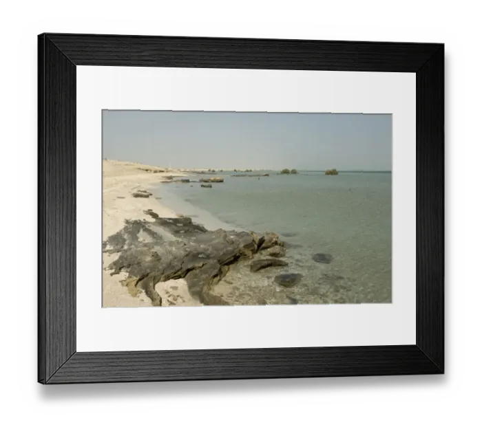 Framed Print : Remote beach with rocks, sand and sea at high water, with isolated mature and young grey mangroves, Arabian Gulf Framed Print : Remote beach with rocks, sand and sea at high water, with isolated mature and young grey mangroves, Arabian Gulf