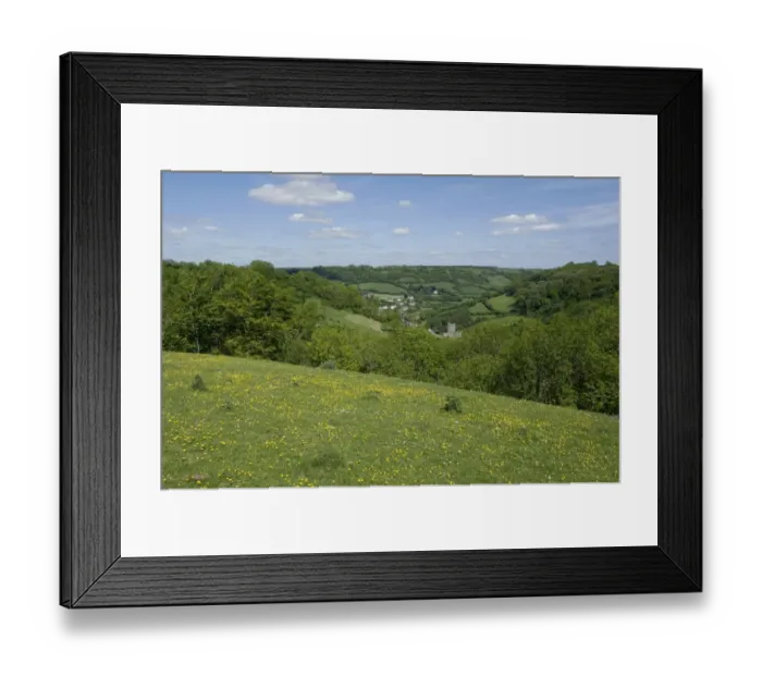 Framed Print : Looking towards Branscombe village on an early summer day in Devon with trees in new leaf buttercups in flower