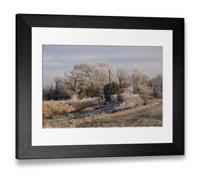Framed Print : Hoar frost covers a Suffolk country lane Framed Print : Hoar frost covers a Suffolk country lane