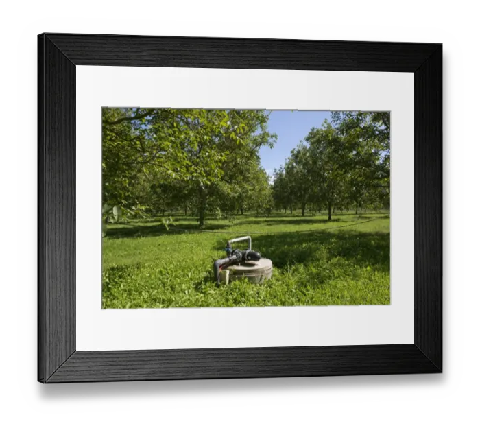 Framed Print : Irrigation and fertigation pump for walnut trees in a walnut orchard at Sainte-Foy-la-Grande, France Framed Print : Irrigation and fertigation pump for walnut trees in a walnut orchard at Sainte-Foy-la-Grande, France