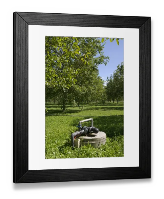 Framed Print : Irrigation and fertigation pump for walnut trees in a walnut orchard at Sainte-Foy-la-Grande, France