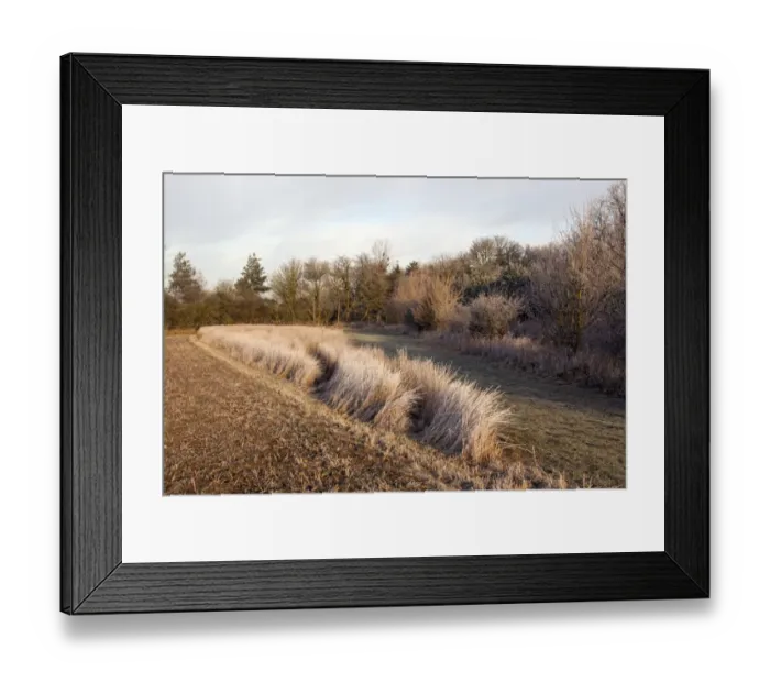 Framed Print : hoar frost on set a side farm field strip
