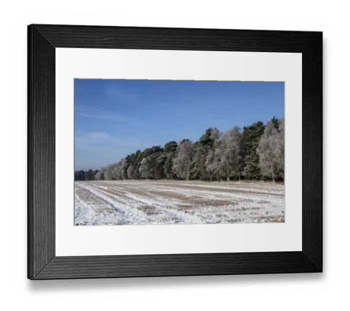 Framed Print : This large field next to Knettishall Heath, is in the Brecklands on the Suffolk, Norfolk border Framed Print : This large field next to Knettishall Heath, is in the Brecklands on the Suffolk, Norfolk border