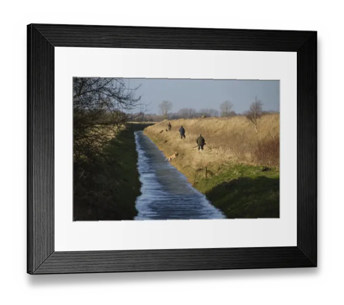 Framed Print : Line of Men with 12 bore shotguns, at pheasant and duck shoot waiting for the beaters to flush the birds out of