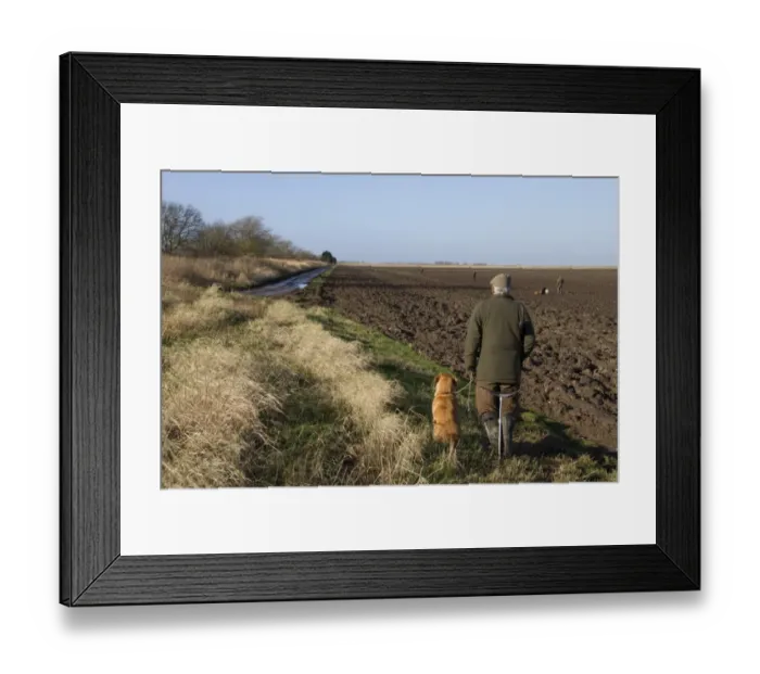 Framed Print : Line of Men with 12 bore shotguns, at pheasant shoot waiting for the beaters to flush pheasants from game cover Framed Print : Line of Men with 12 bore shotguns, at pheasant shoot waiting for the beaters to flush pheasants from game cover